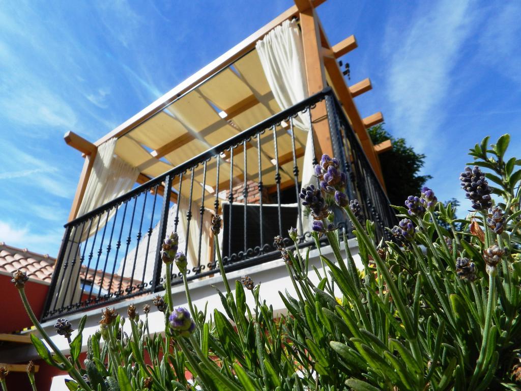 House Of Milka Villa Zadar Eksteriør bilde
